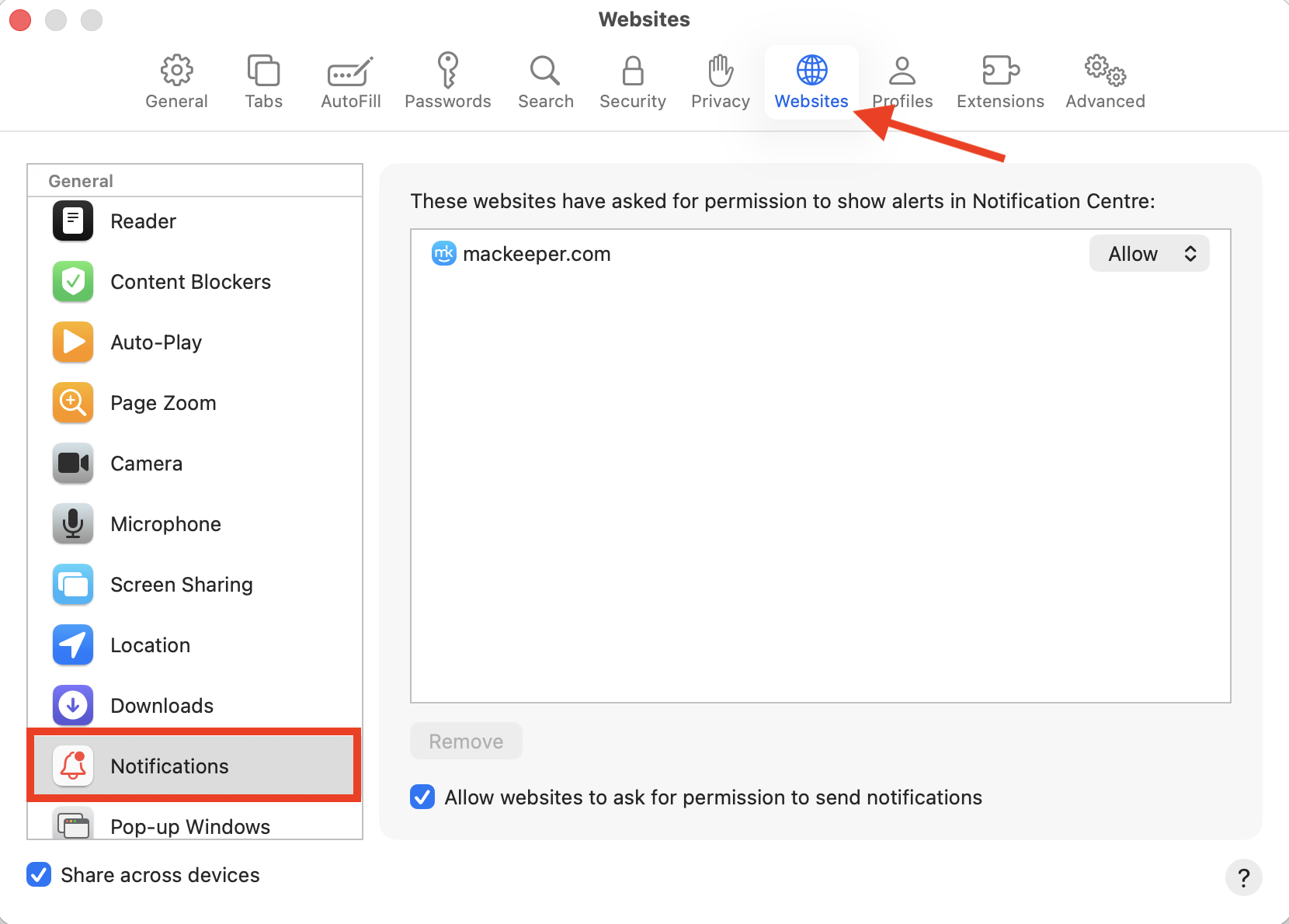 The Websites section inside the Safari settings menu on Mac. Here, you can control which websites can send you alerts when you're looking to silence notifications on Mac.