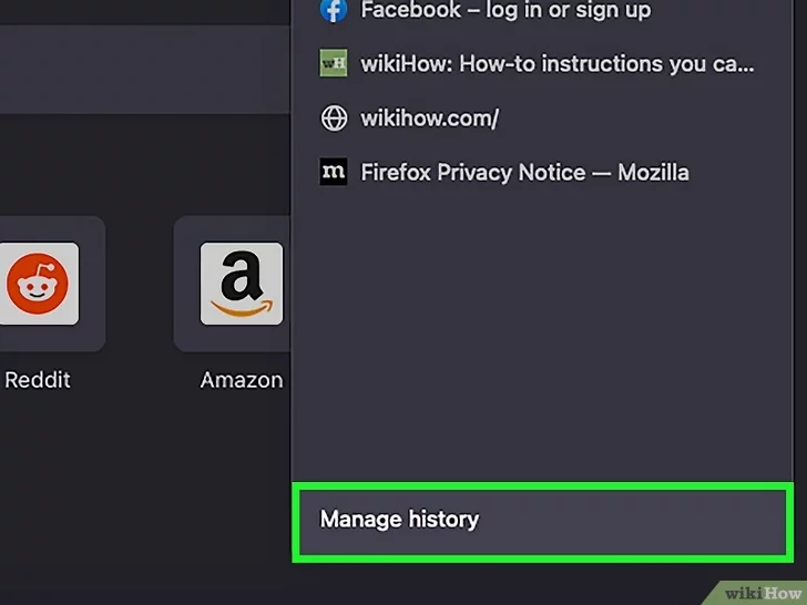 When the History section is launched in Mozilla Firefox, click Manage History to open a new page, where your browsing activity is saved in a clear, organized list.