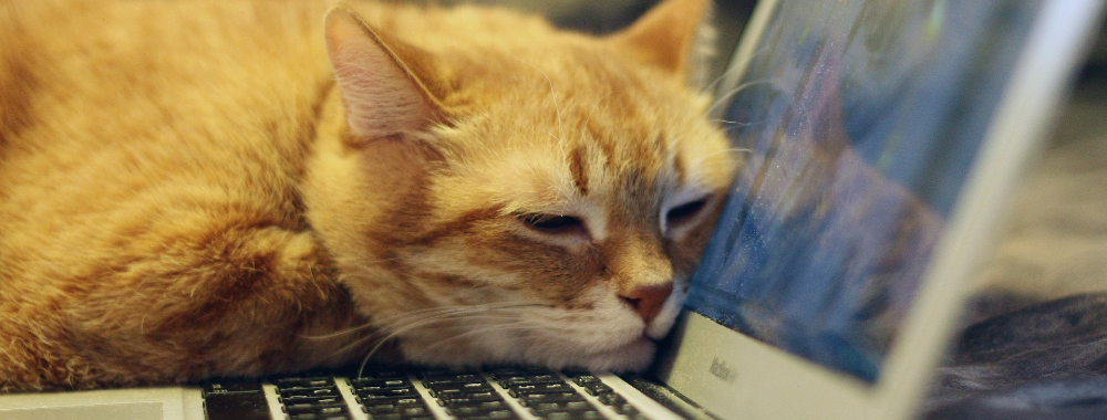 Atajos de teclado esenciales para usuarios de Mac