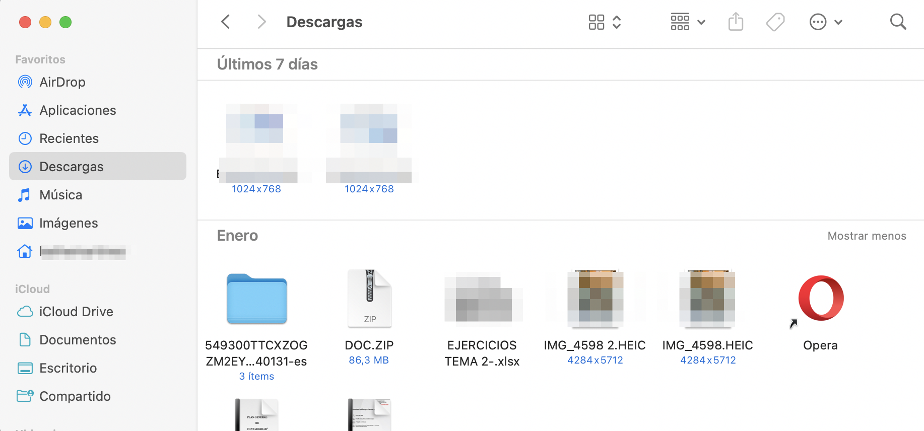 La carpeta de descargas muestra todos los archivos que se han descargado recientemente en el dispositivo.