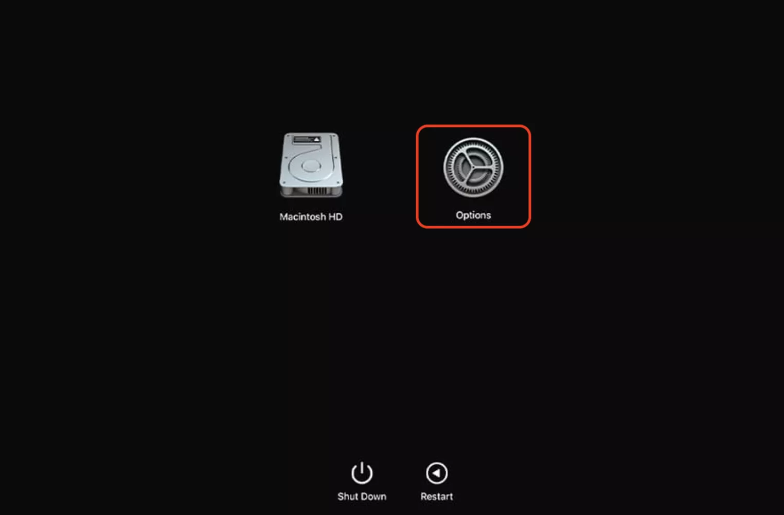 O ícone Opções está contornado em vermelho na janela de Recuperação do Mac. Clicar nele é o início do processo para redefinir o Mac às configurações de fábrica.