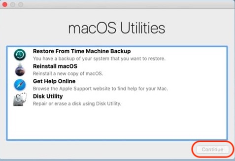 Select 'Get Help Online' from the Recovery Mode macOS Utilities panel, and then click the 'Continue' button, which will open the Safari browser.