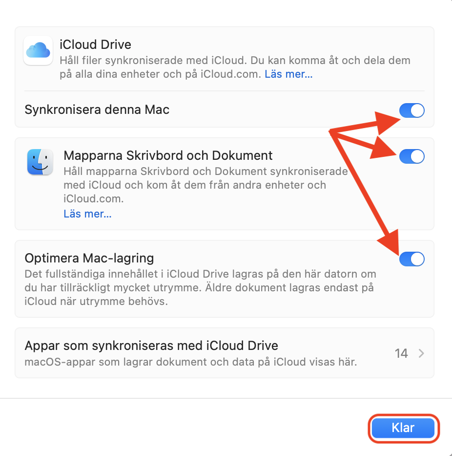 Alternativen för iCloud Drive i Systeminställningar på Mac. Se till att alla säkerhetskopieringsalternativ är aktiverade för att skicka filer till molnet och frigöra utrymme på Mac.