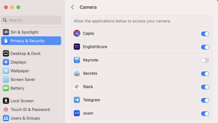 Then you can click on the camera and check or uncheck the permission next to each app that you have allowed camera access.