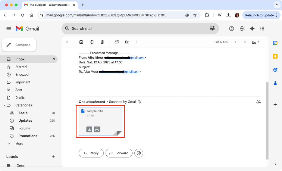 To view a .dat file using Gmail, click on the attached document to open it with Google Docs.