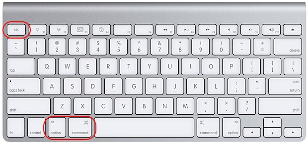 Press Option, Command, and Esc on your MacBook keyboard to open the Force Quit window when Steam won't launch on macOS.