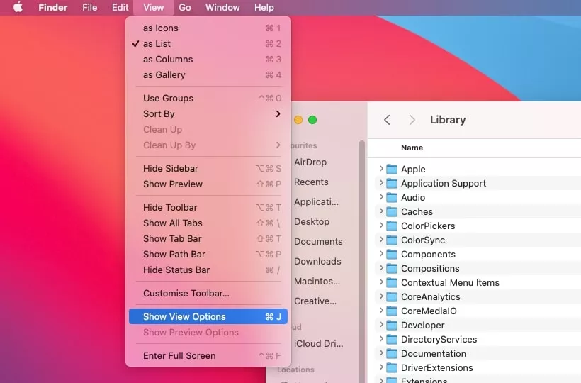 view menu show view options highlihted 
