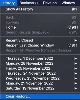 Safari User Interface Safari User Interface