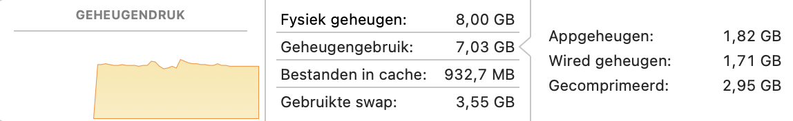 Het tabblad Geheugen in Activiteitenweergave met de grafiek Geheugendruk en details zoals Fysiek geheugen, Gebruikt geheugen, Gecachte bestanden, Gebruikte wisselruimte, Appgeheugen, Wired geheugen en Gecomprimeerd.