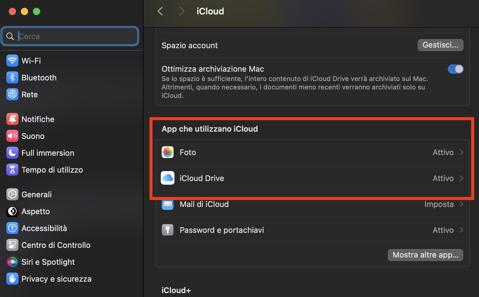 Potrebbe essere necessario selezionare la casella accanto a Foto iCloud se la versione del tuo macOS è precedente a Catalina.
