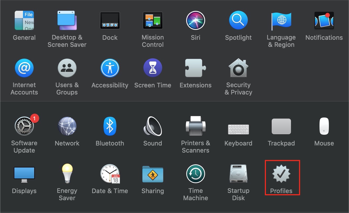 Opening System Preferences interface from the Apple menu with the Profiles highlighted with a red box