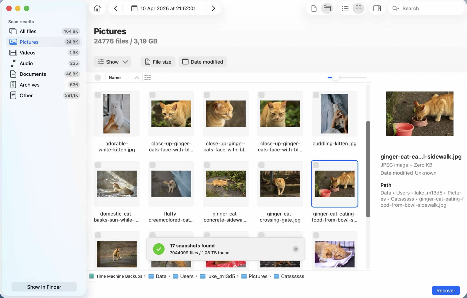 Look through all your deleted data, highlight anything you want to restore, and click on Recover.