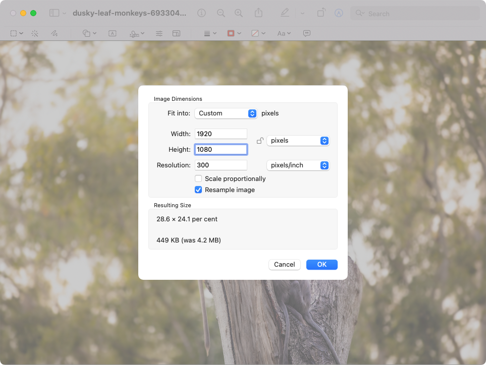 Change the resolution of your photo in Preview Change the resolution of your photo in Preview