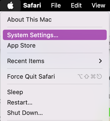 To check if automatic Safari updates have been turned On on your Mac, you'll need to begin by clicking on the Apple icon in the menu bar and choosing System Settings.