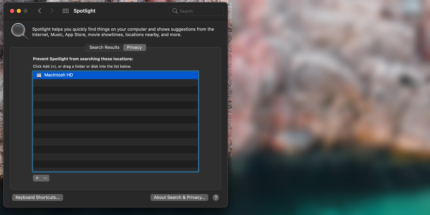 Spotlight Privacy settings appear in System Preferences. Add your disk to disable Spotlight indexing for the disk and safely eject it.