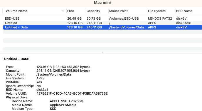 Choose a disk you want to check in Mac System Information.