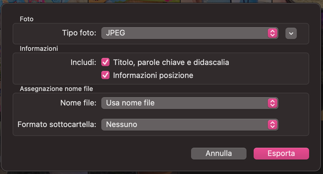 Per convertire più immagini contemporaneamente, puoi usare File > Esporta e modificare i nomi delle foto. Inoltre, puoi regolare diverse altre impostazioni, come i formati delle sottocartelle.
