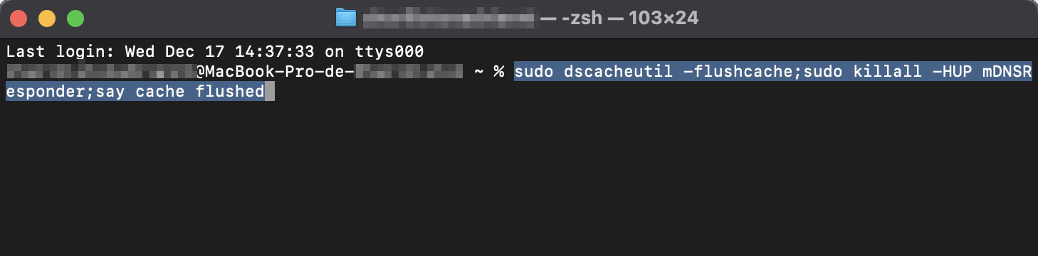 O Terminal no Mac mostra o comando para excluir o cache de DNS. Após inserir o comando, pressione Enter.