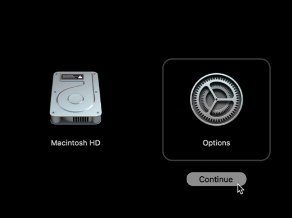Head over the Options and click Continue. You might need to enter your Administrator password to continue so have that information handy just in case.