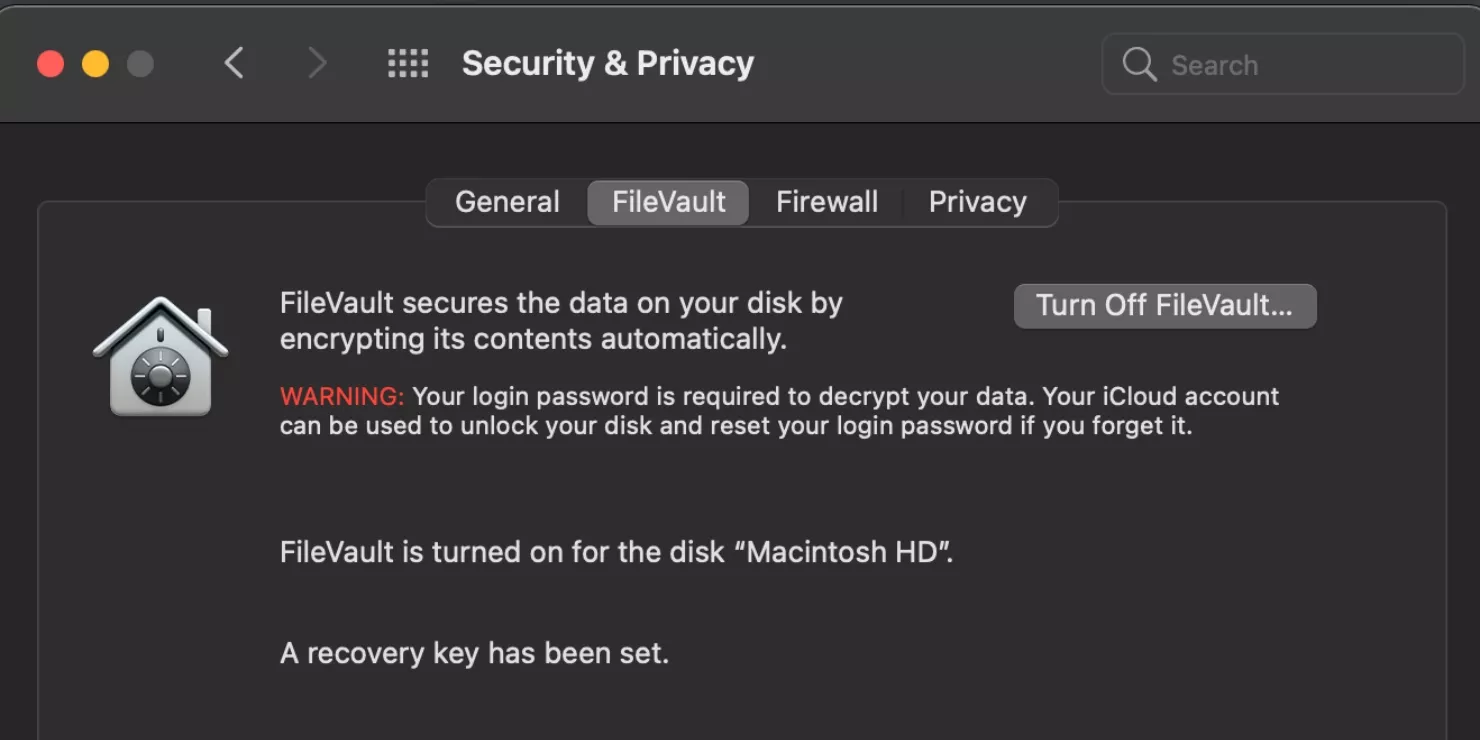 Security & Privacy > Firevault