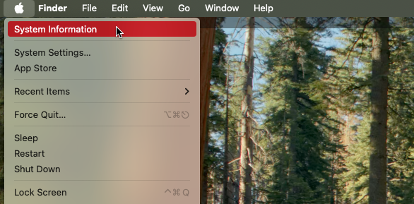 Although you can't directly interact with XProtect, you can check that it's being updated. Start by clicking the Apple icon in your menu bar, then hold Opt, and select 'System Information'.