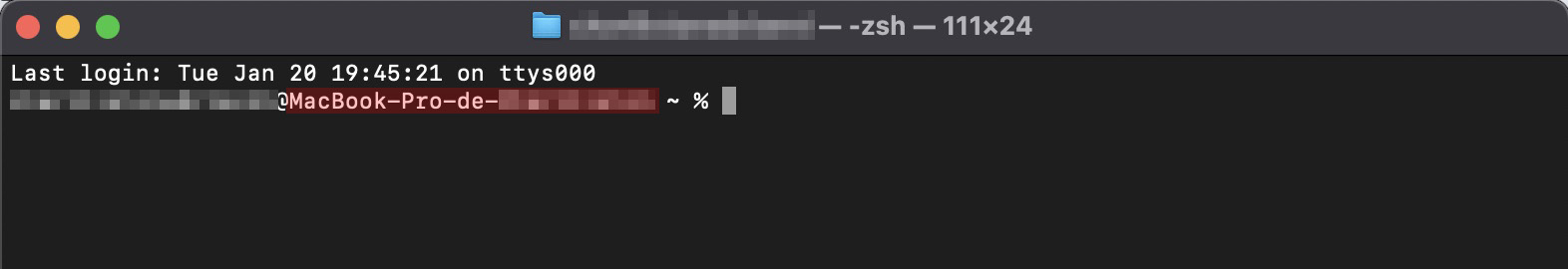 Na última linha do Terminal, você encontrará o sinal $. Veja como o comando correspondente deve ser inserido corretamente.