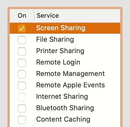 screen sharing option ticked