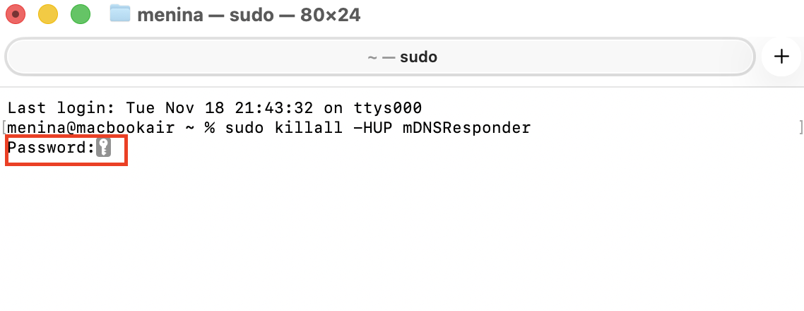 Wanneer Terminal is geopend, typ je je wachtwoord nadat je de opdracht sudo dscacheutil -flushcache; sudo killall -HUP mDNSResponder hebt ingevoerd. Druk daarna op Enter om verder te gaan.