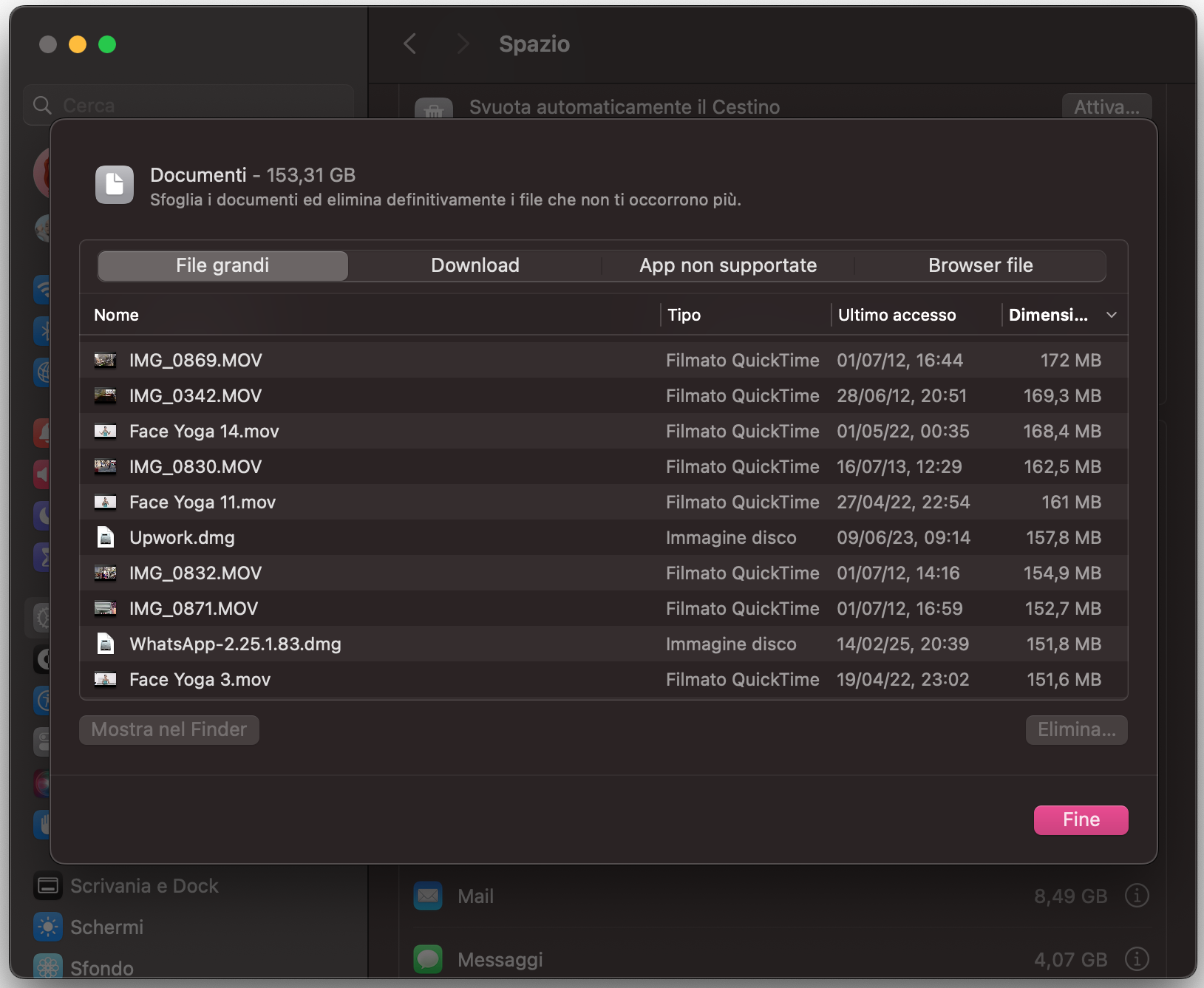 La cartella Documenti mostra l’elenco dei file con una scheda separata per i File di grandi dimensioni. Vai qui per eliminare quelli non necessari.