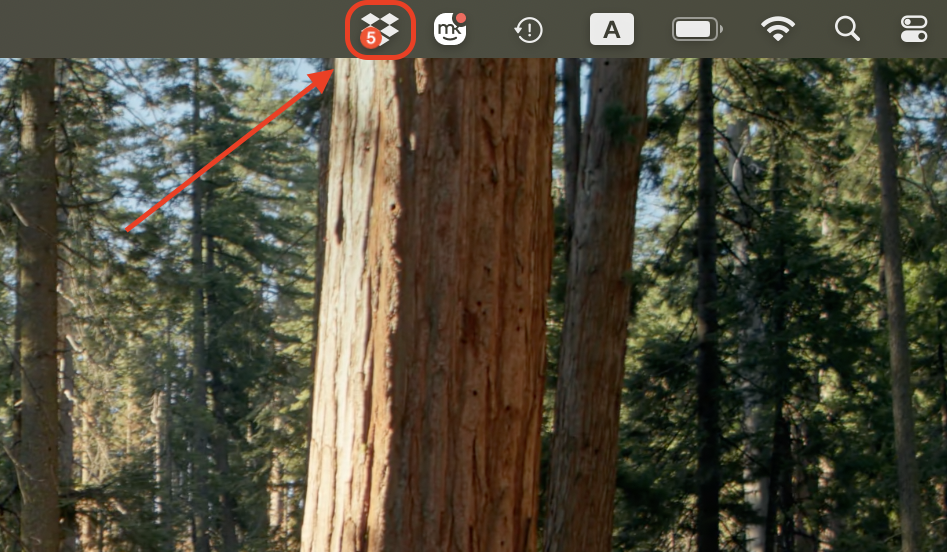 Click the Dropbox icon in your Mac's top menu bar to access settings and account options.