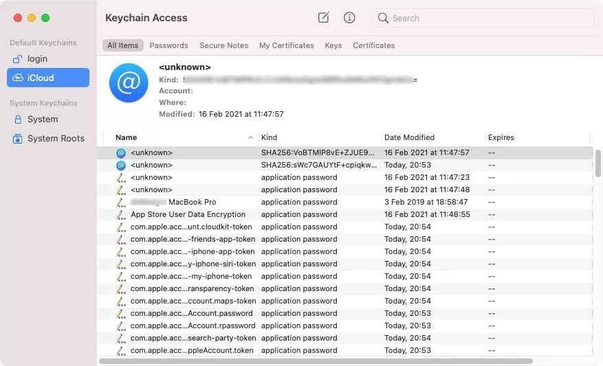 keychain access icloud tab