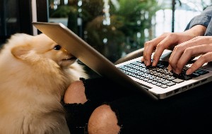 Wie Sie Alte Software-Updates Vom Mac Löschen Wie Sie Alte Software-Updates Vom Mac Löschen