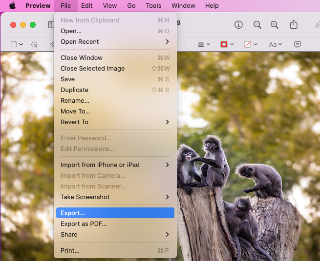 Preview > Edit menu > Export Preview > Edit menu > Export
