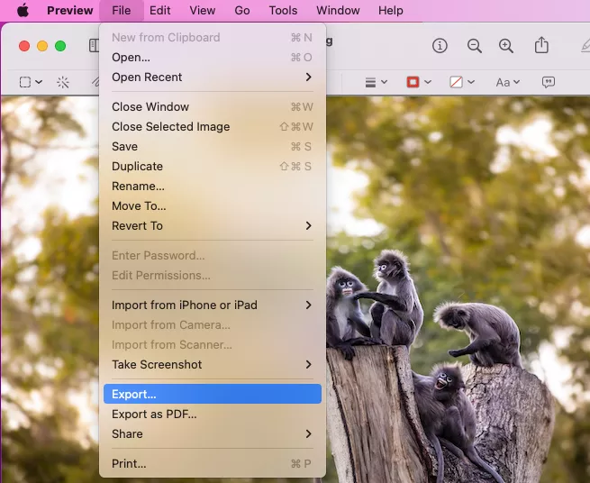 Preview > Edit menu > Export
