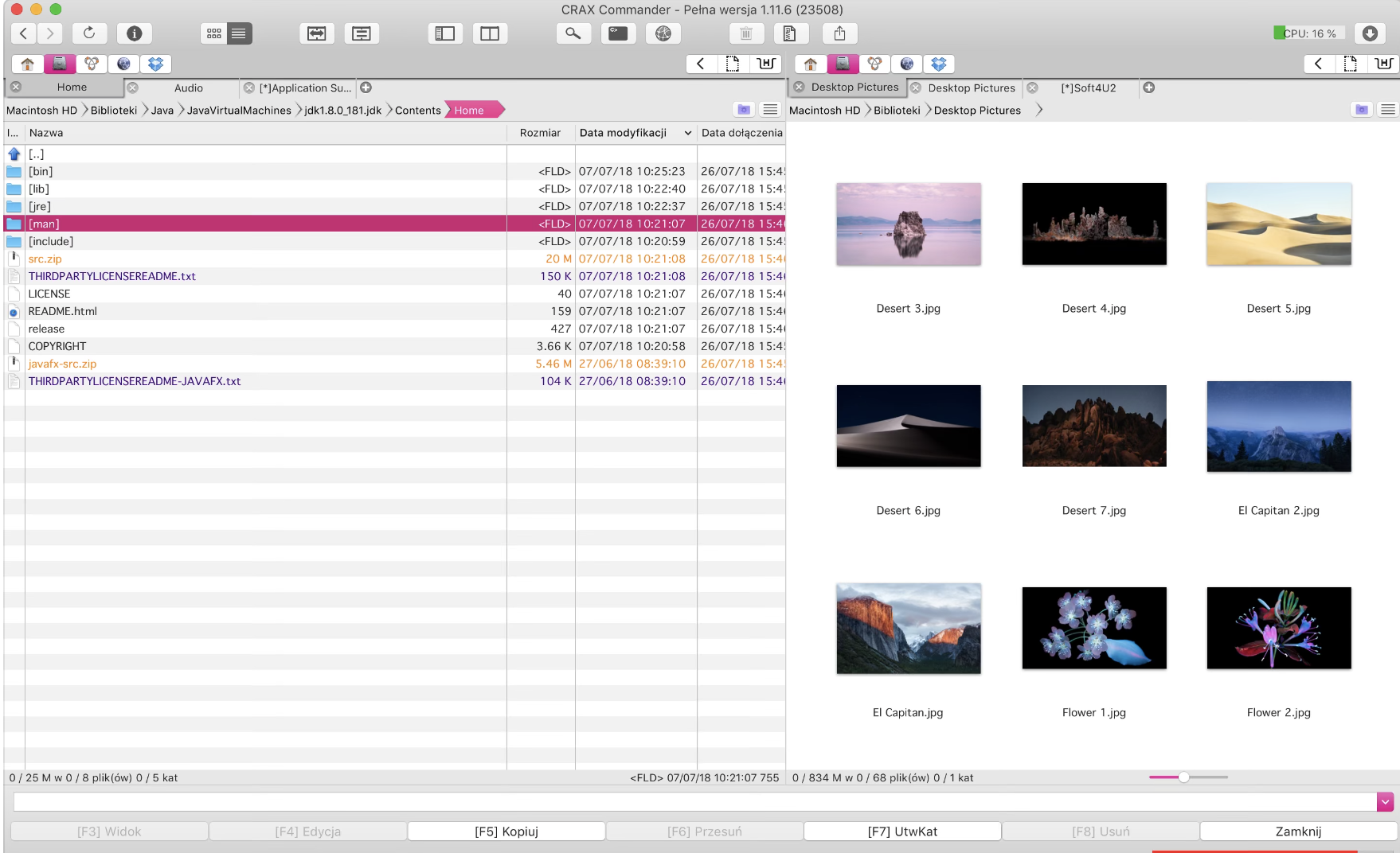 CRAX Commander interface displays the way its file management organizer looks, with the opportunity to show multiple images at once