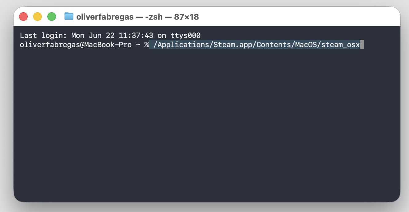 Type /Applications/Steam.app/Contents/MacOS/steam_osx in Terminal on your Mac and press Return to launch Steam manually.