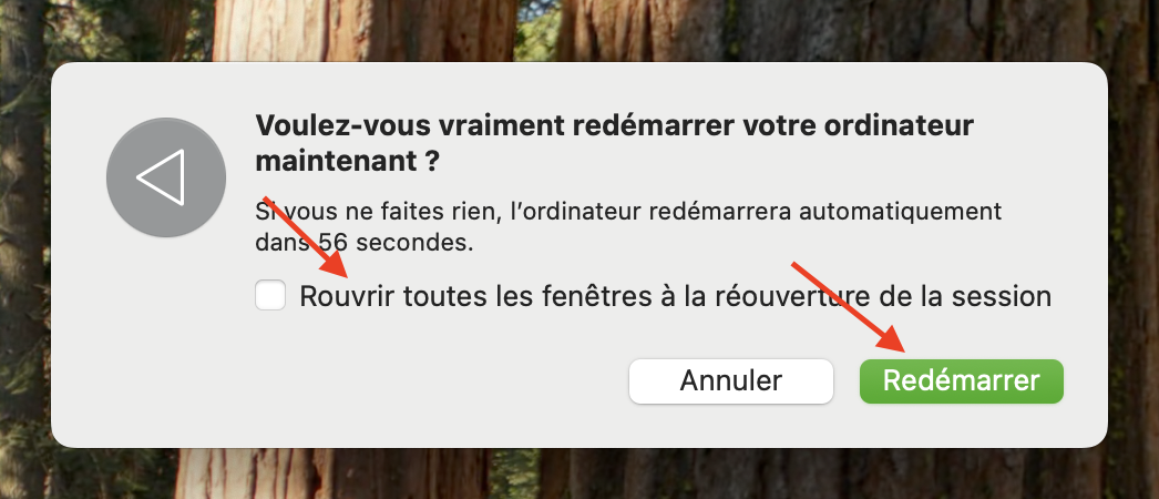 La fenêtre contextuelle de Redémarrage s'affiche sur macOS Monterey. Vous avez l'option de rouvrir toutes les fenêtres à la réouverture de la session. Cliquez ensuite sur Redémarrer.