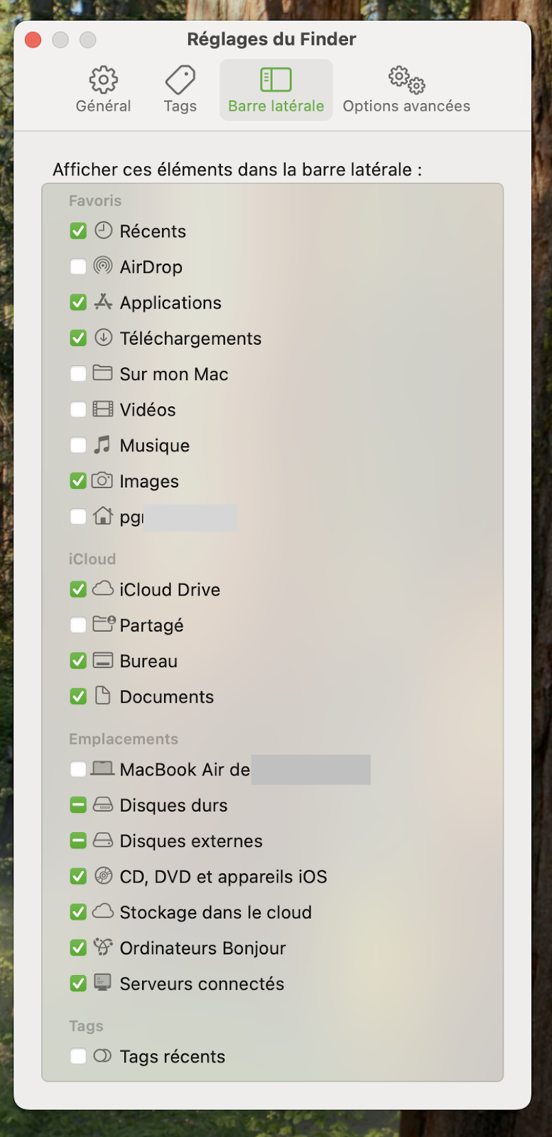 La prochaine étape consiste à s'assurer que la case Disques externes est cochée dans la section Barre latérale dans la fenêtre des réglages du Finder.