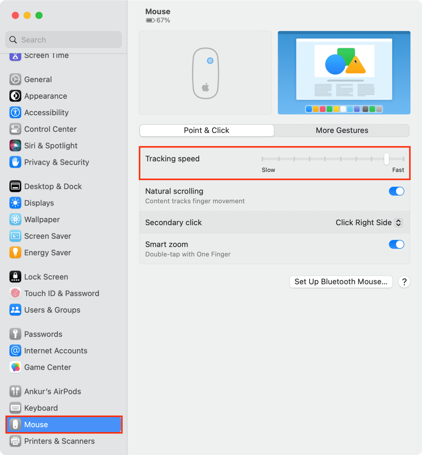 Alt: Mouse settings are shown on a Mac screen. Move the Tracking speed slider in any direction to change the mouse speed on your Mac.