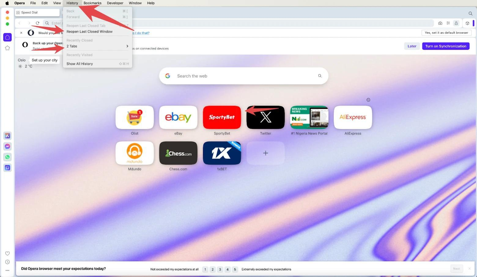 To check your history in Opera on Mac, open the Opera browser, then click History in the top left corner of the window, and select the Show all History option to see your full browsing history