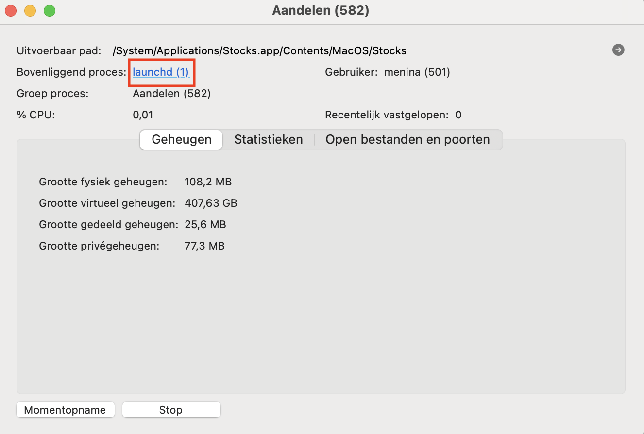 Kies de optie Bovenliggend proces om de inspectie te voltooien; er opent een apart venster met procesdetails.