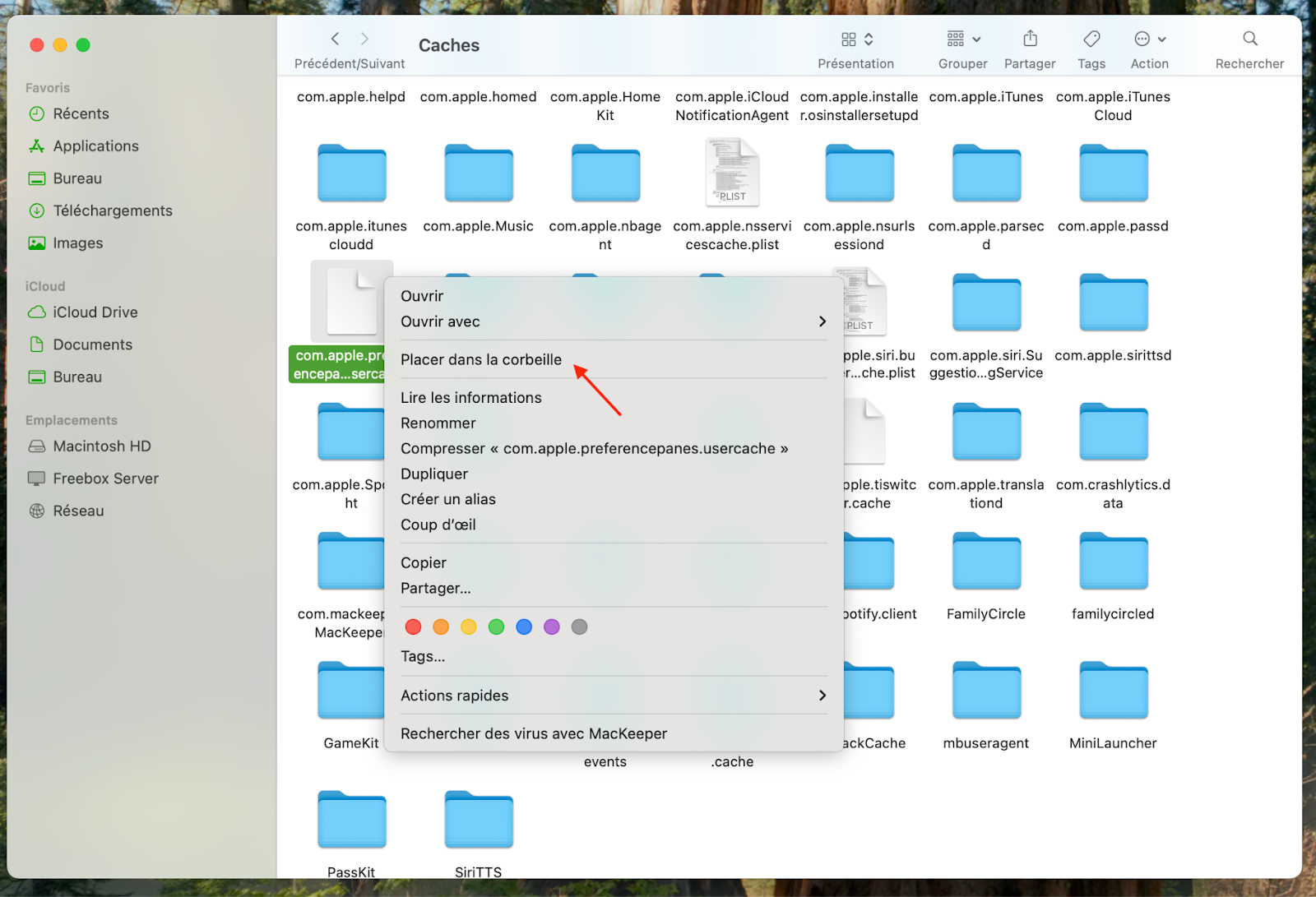 Les fichiers caches masqués se trouvent dans le Finder sur macOS Monterey. Effectuez un clic droit sur les fichiers que vous souhaitez supprimer, puis cliquez sur Placer dans la corbeille.