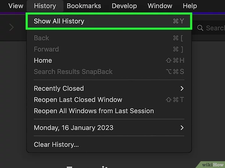 Once the History feature is launched in your Safari browser, check the drop-down menu and choose the Show All History feature to open a full list of your browsing activity, organized by date.