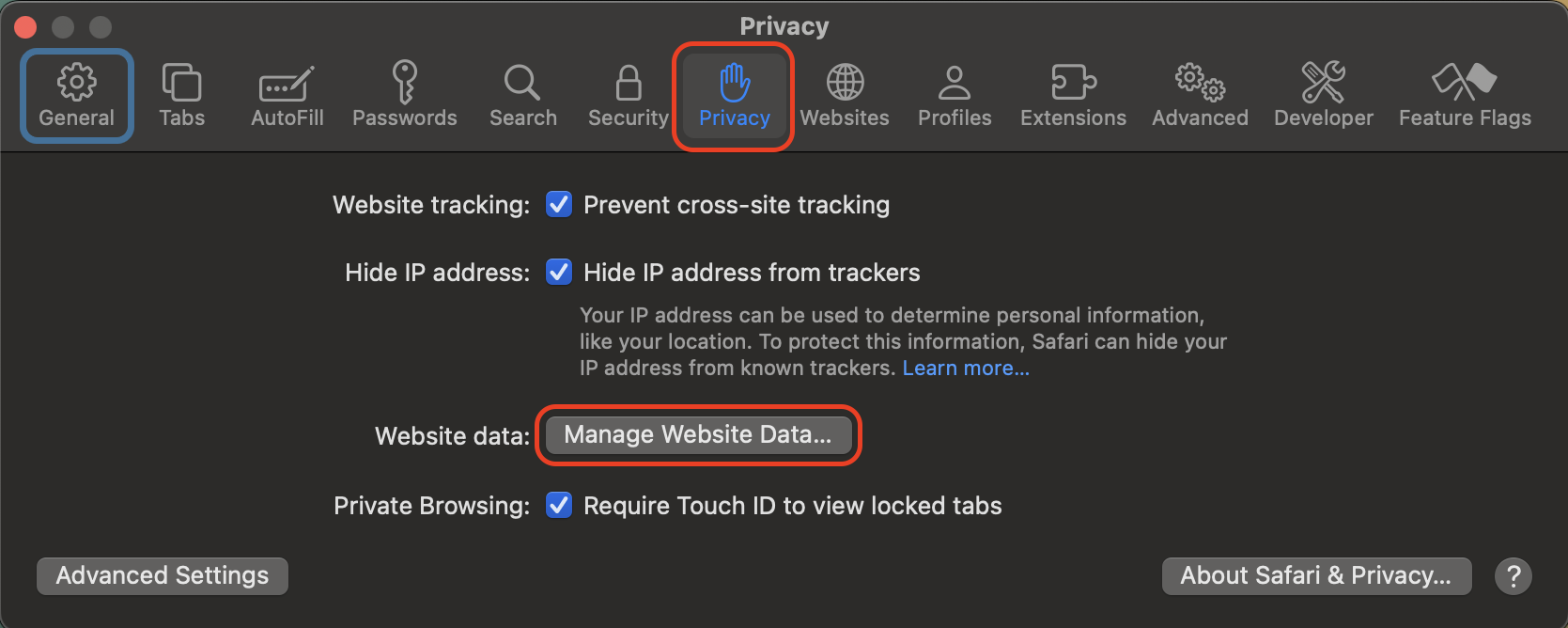 Open the Privacy tab and click Manage Website Data to review stored site files and remove items that may be slowing Safari or increasing system load.