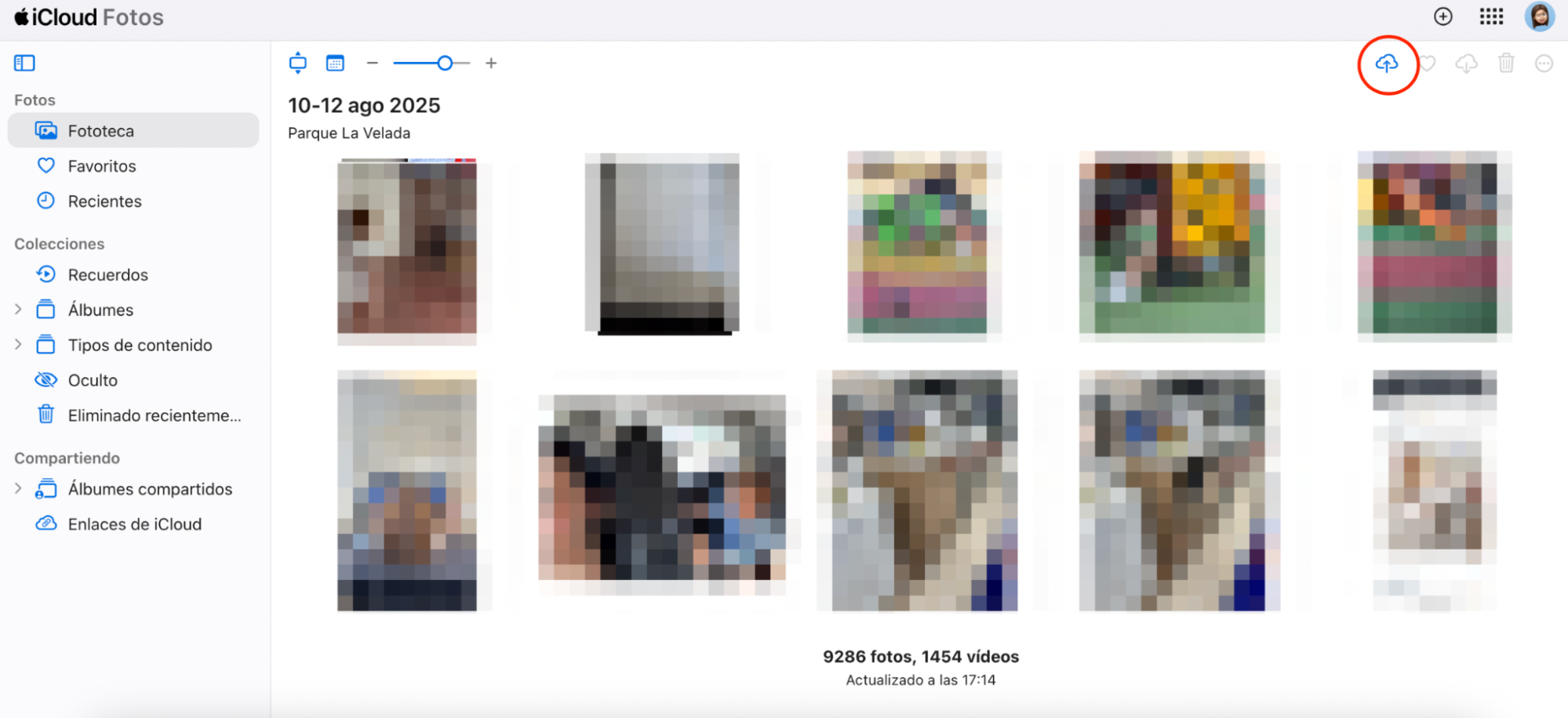 Una vez que hayas seleccionado las fotos que deseas transferir a tu Mac, deberás hacer clic en el icono de la nube con una flecha hacia abajo para iniciar el proceso de descarga.