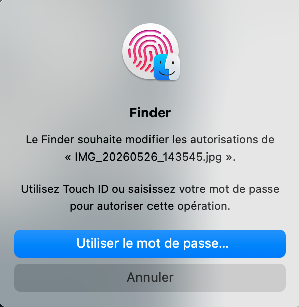 Quand on vous demande de saisir votre mot de passe ou d'utiliser Touch ID, choisissez votre option préférée. Vous pourrez ensuite supprimer le fichier dans la corbeille.