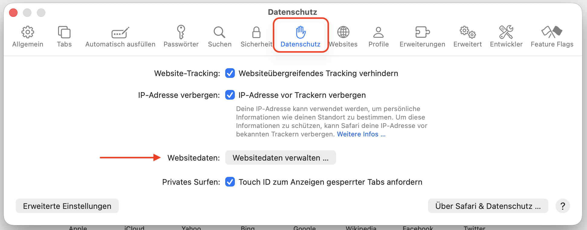 Gehen Sie anschließend zur Registerkarte Datenschutz, wo Sie die Option Alle Websitedaten entfernen finden.
