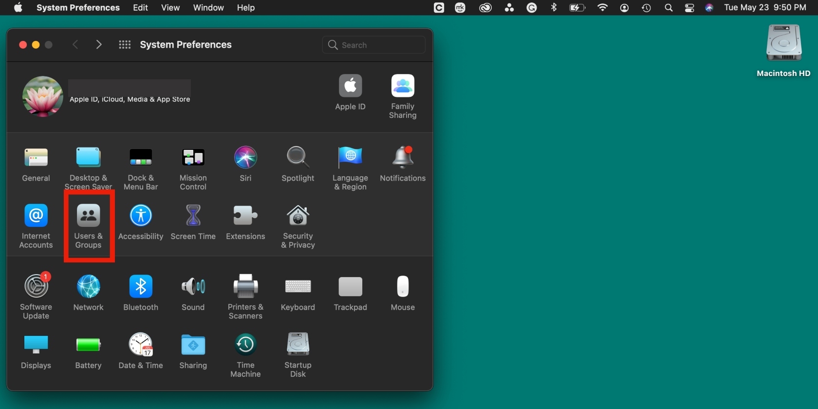 System Preferences options are shown on a Mac screen. Select the Users & Groups option to remove Steam from System Preferences.