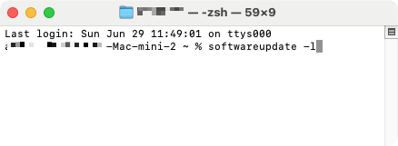 If the normal way of updating your Mac doesn't work, you may have more success if you do it through Terminal commands instead.