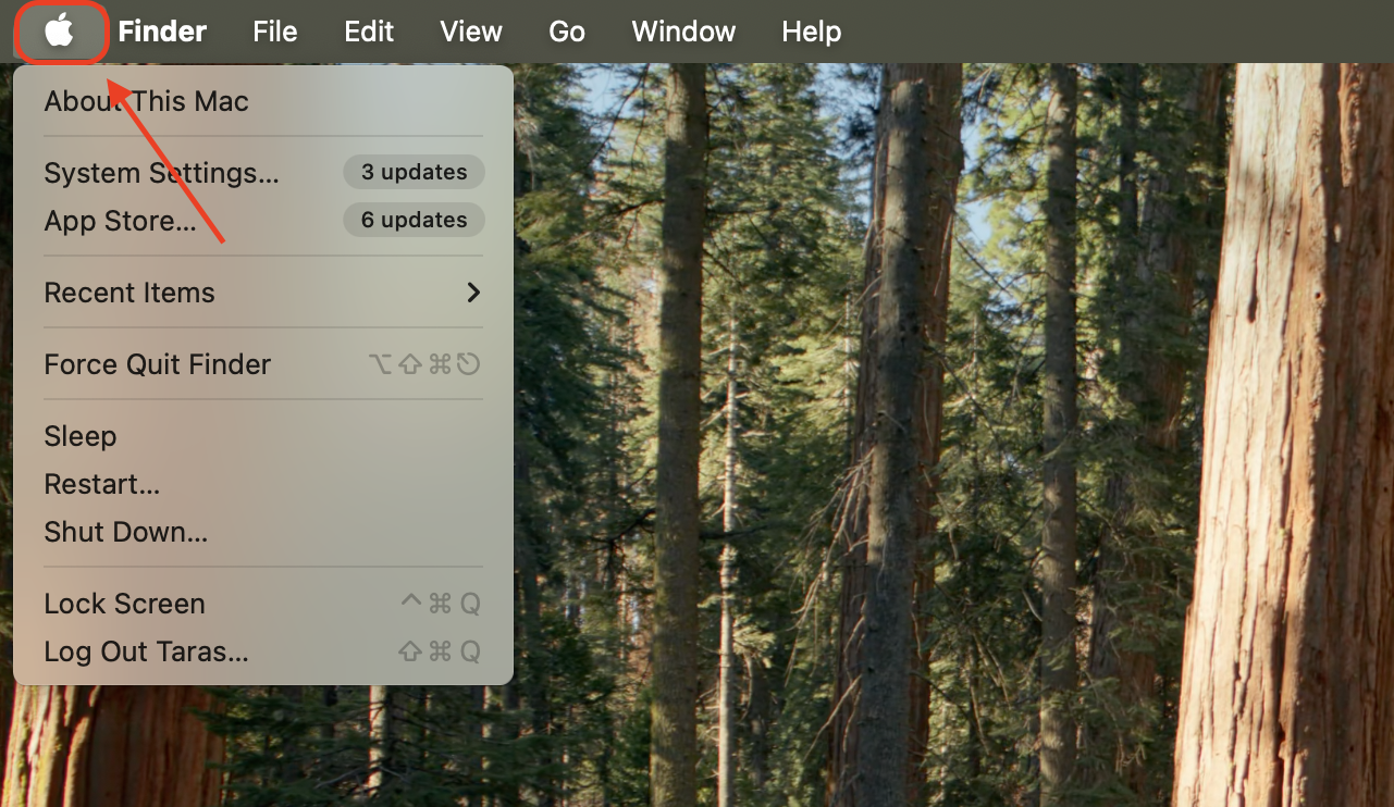 Click the Apple logo in the top-left corner of your screen to open the main system menu with options like Force Quit and System Settings.